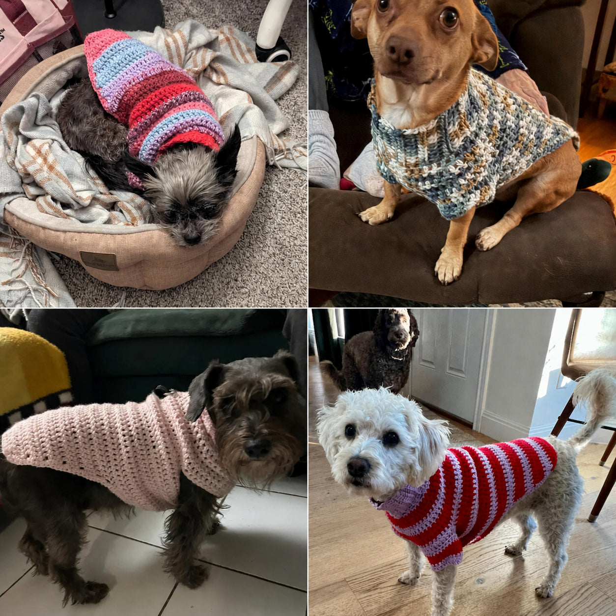 Multi-Size Dog Jumper Crochet Pattern