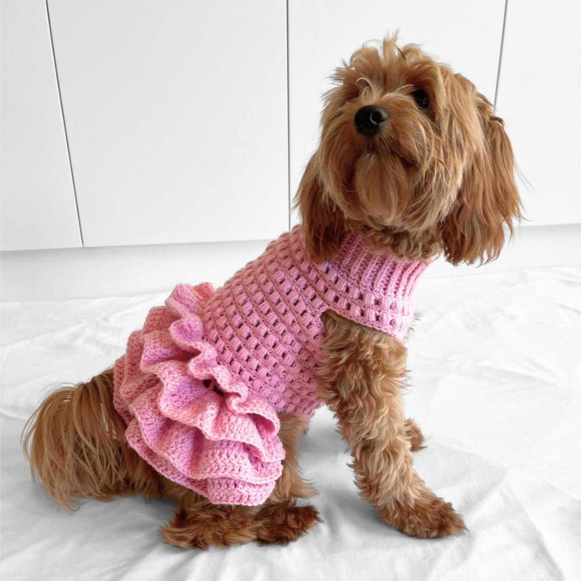 crochet dog dress free pattern Ravelry: Lottie's Spotty Doggy by Beth Derham How to Crochet a Princess