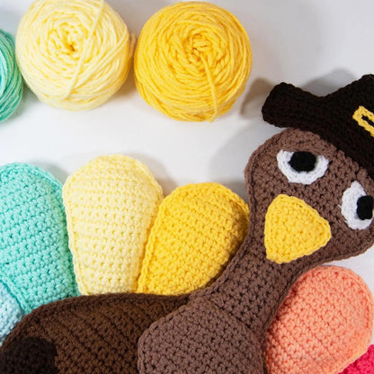 Turkey Pillow Crochet Pattern