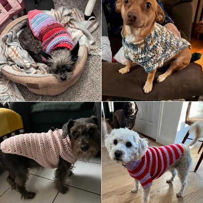 Multi-Size Dog Jumper Crochet Pattern