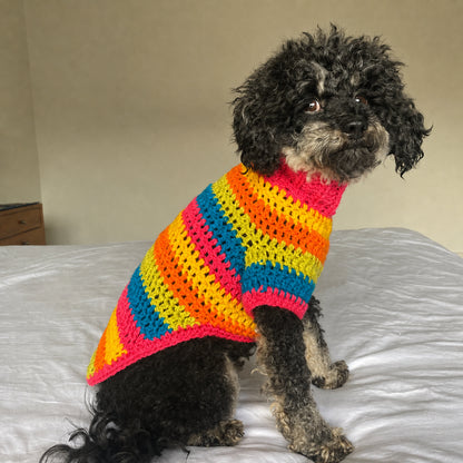Multi-Size Dog Jumper Crochet Pattern