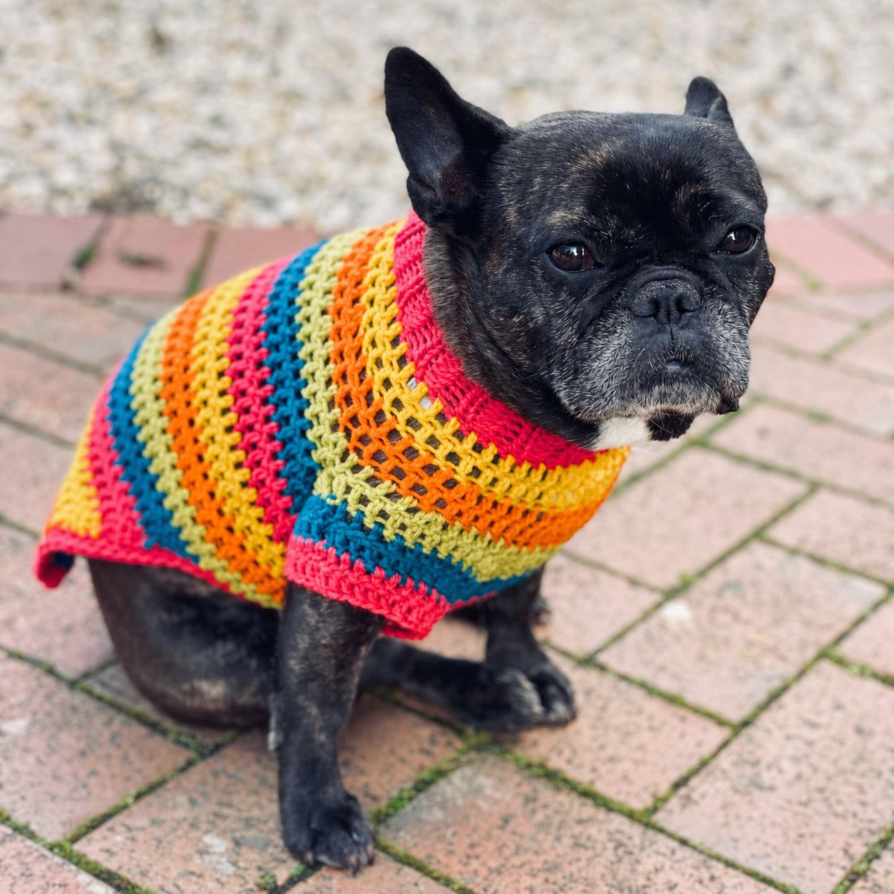 Multi-Size Dog Jumper Crochet Pattern