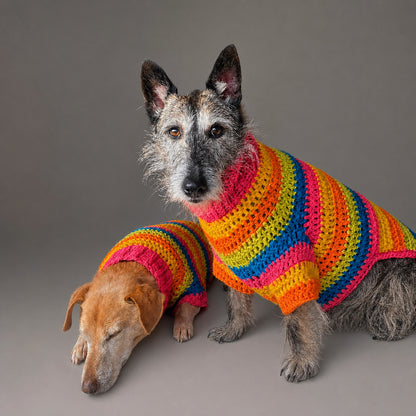 Multi-Size Dog Jumper Crochet Pattern