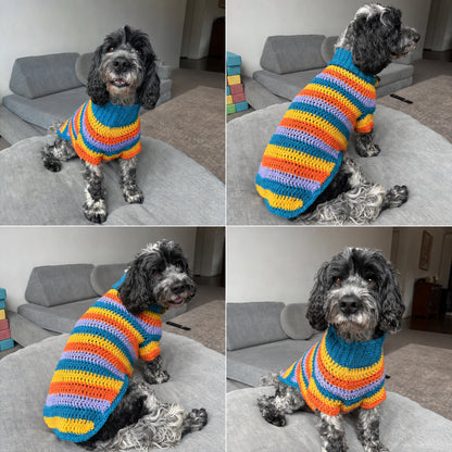 Multi-Size Dog Jumper Crochet Pattern