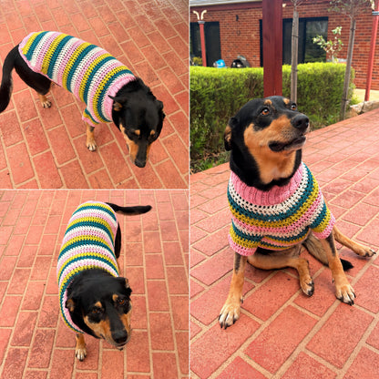 Multi-Size Dog Jumper Crochet Pattern