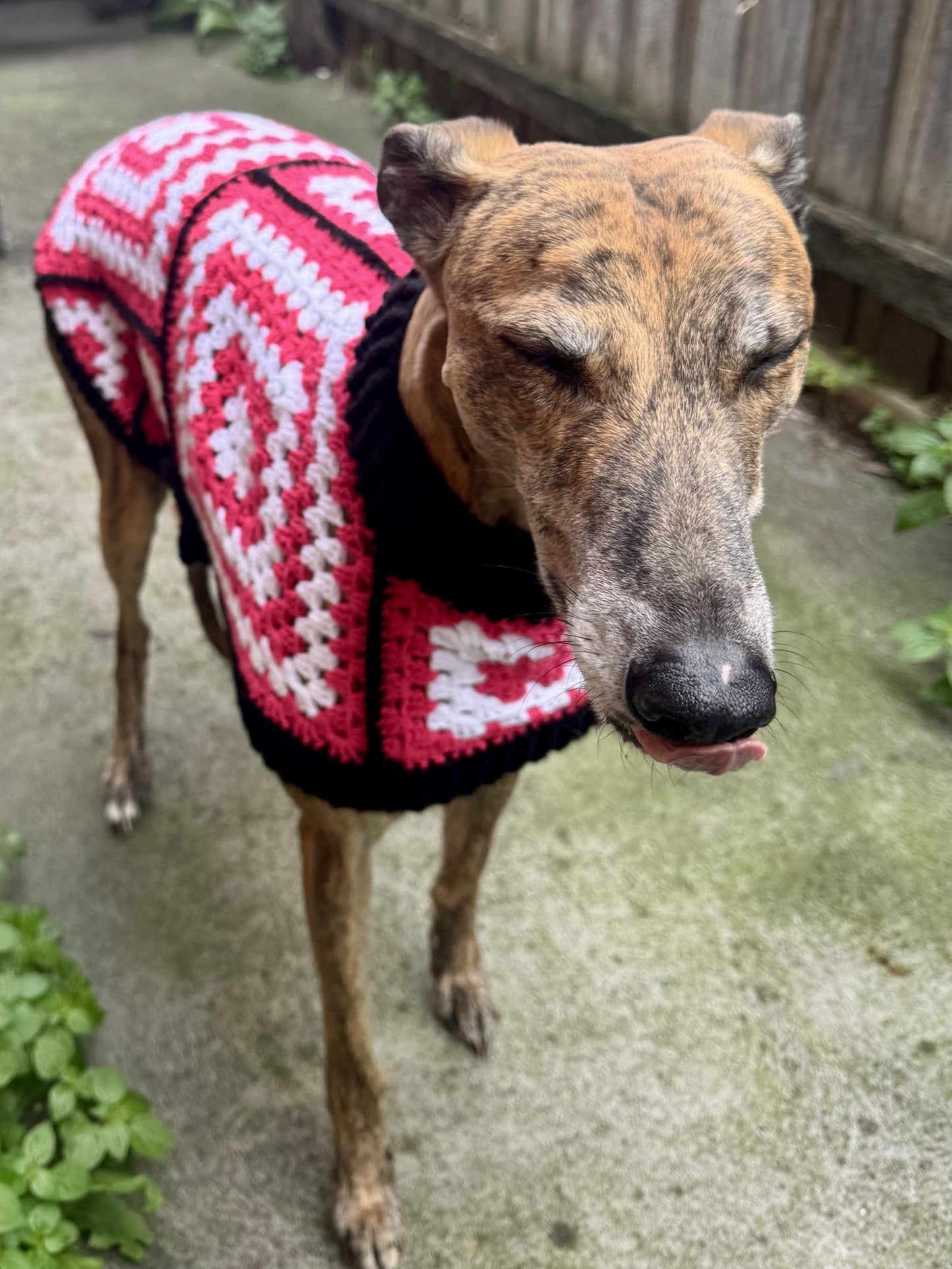 Groovy Granny Greyhound Coat Crochet Pattern