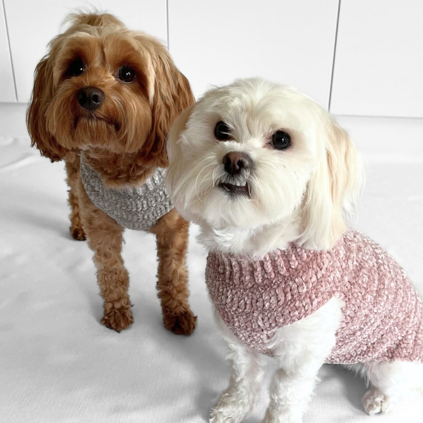 Super Snuggly Pet Sweater Crochet Pattern