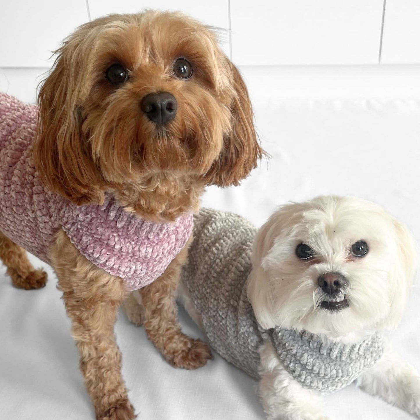 Super Snuggly Pet Sweater Crochet Pattern