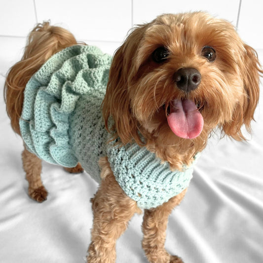 Puppy Dress Crochet Pattern