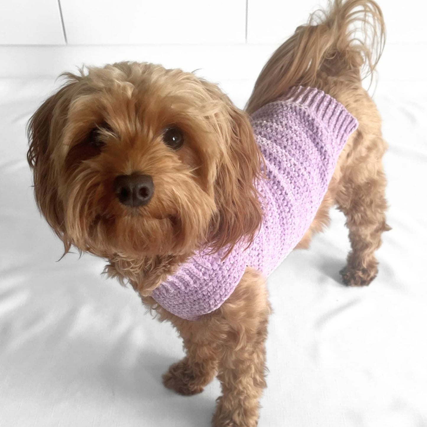 Velvet Pet Jumper Crochet Pattern