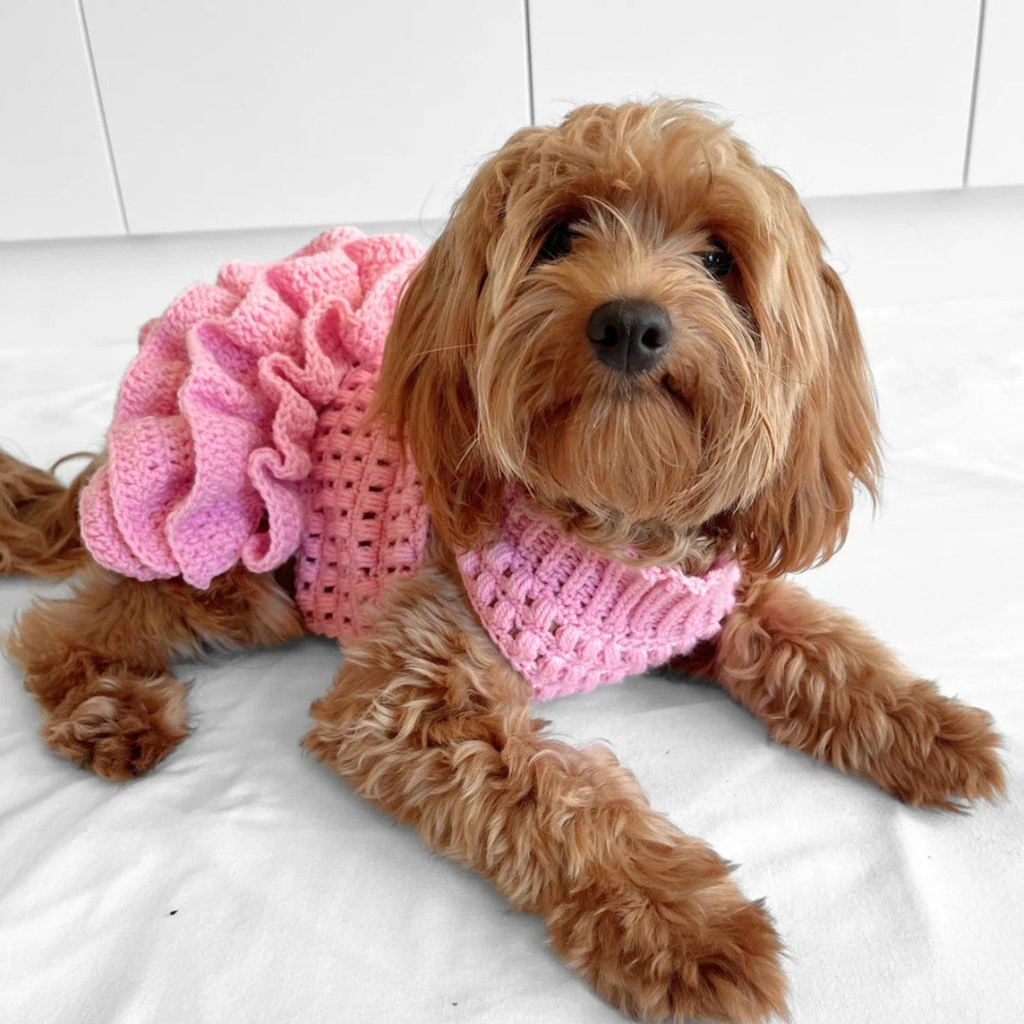 Puff Stitch Tutu Dog Jumper Crochet Pattern