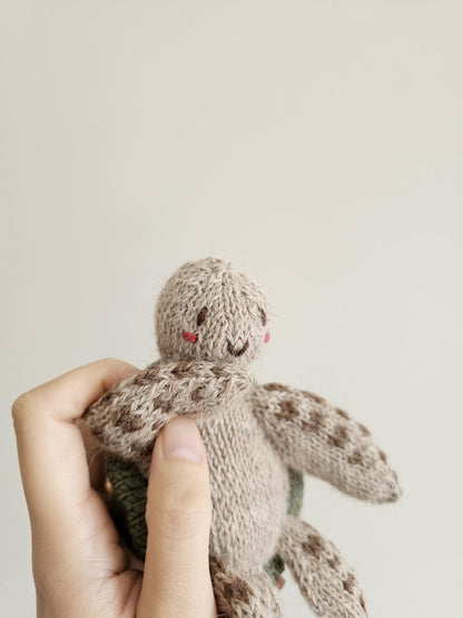 Aurelio the Turtle Knitting Pattern