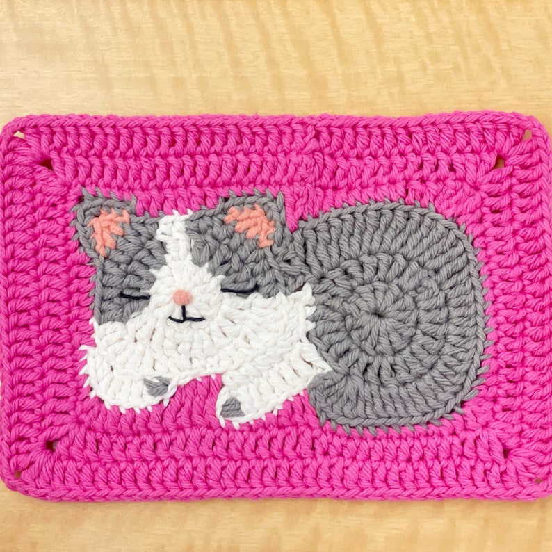 Cat Granny Squares Crochet Pattern